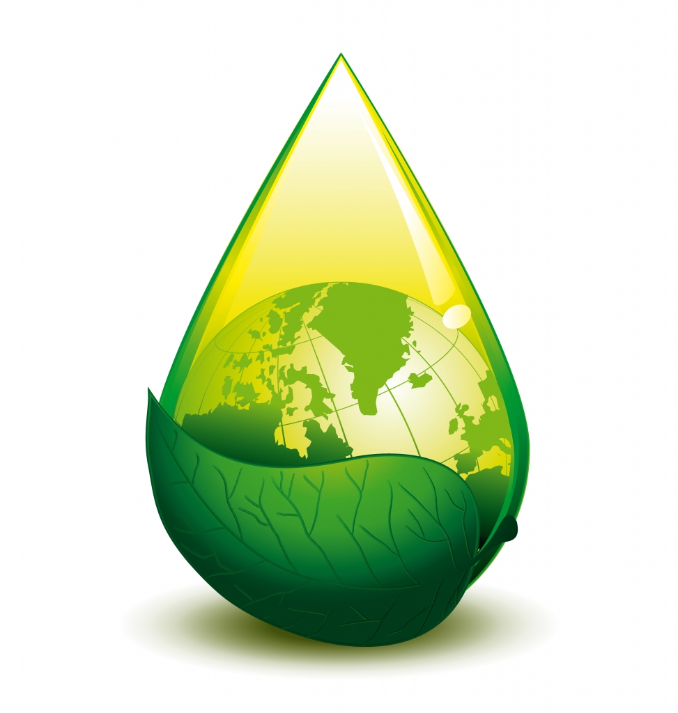 Biocombustíveis ganham destaque na matriz energética brasileira, diz AIE