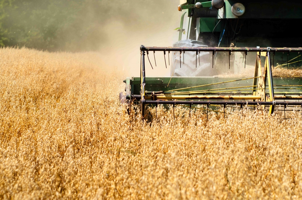 Colheita de soja atinge 36% da área plantada no Brasil em 2018/19, diz AgRural
